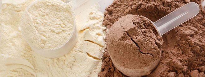 chocolate and vanilla protein powder